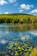 Fototapeta na wymiar Breakneck Ponds, Acadia National Park, Maine