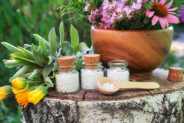Three bottle of homeopathic globules, wooden mortar of medicinal herbs, healing plants on stump...