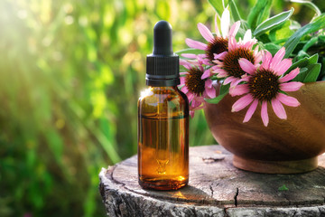 Dropper bottle of echinacea tincture or essential oil , wooden mortar of coneflowers outdors. Alternative medicine. - obrazy, fototapety, plakaty