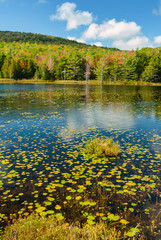 Fototapeta na wymiar Breakneck Ponds, Acadia National Park, Maine