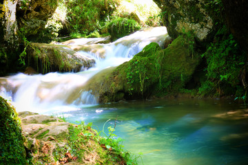 Mountain stream among the mossy stones
