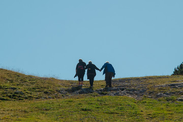 A group of elderly or old hikers viewed from the back, they are helping themselves to reach the top of the hill.