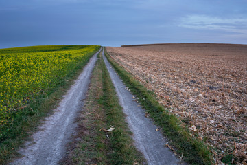 Fototapeta na wymiar A long straight country road through the fields
