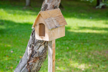 Wooden birdhouse-feeder in the summer city park