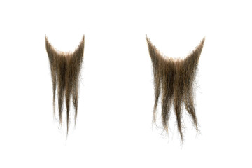 Disheveled brown beard isolated on white, close-up. Mens fashion