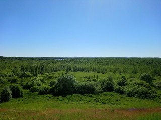 Fototapeta na wymiar Field with forest