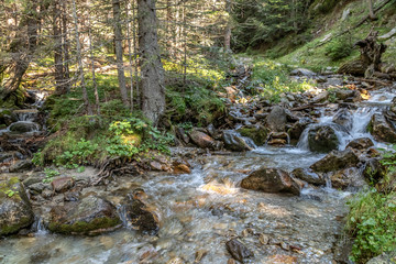 Rivière dans les sous bois dans les Alpes - River in Alps