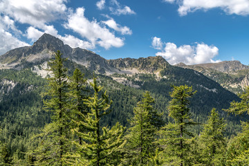 Paysage alpin dans le parc du Mercantour