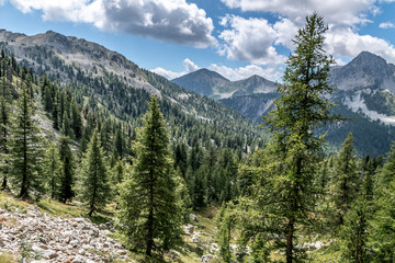 Fototapeta na wymiar Paysage alpin dans le parc du Mercantour