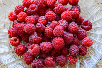 The healthy berries of ripe raspberries are prepared for consumption.