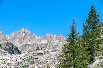 Paysage alpin dans le parc du Mercantour