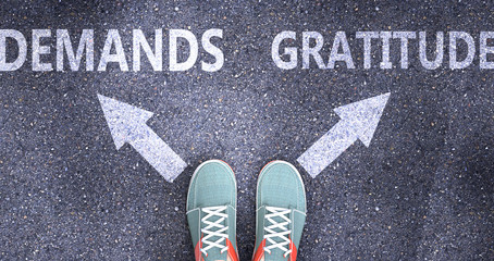 Demands and gratitude as different choices in life - pictured as words Demands, gratitude on a road to symbolize making decision and picking either Demands or gratitude as an option, 3d illustration
