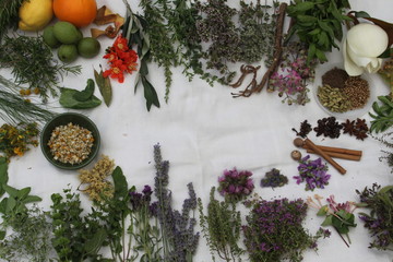 Variedad de plantas medicinales recolectadas para preparar ratafia catalana, licor tradicional...