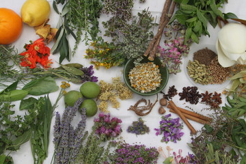 Variedad de plantas medicinales recolectadas para preparar ratafia catalana, licor tradicional...