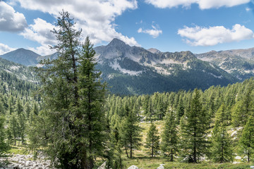 Paysage alpin dans le parc du Mercantour