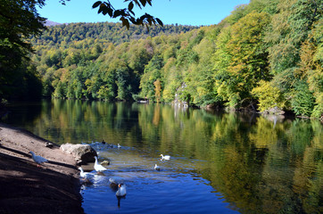 Armenia Lake Parz
