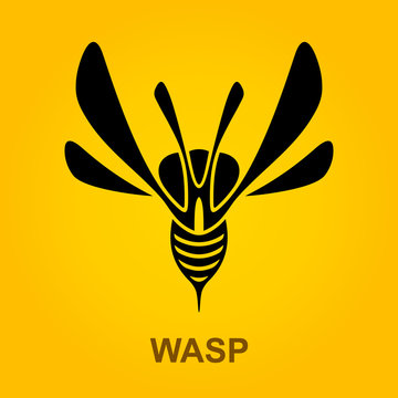 Wasp Predator Insect logotype design template, Stylized business logo idea, Vector Eps 10