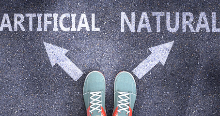 Artificial and natural as different choices in life - pictured as words Artificial, natural on a road to symbolize making decision and picking either one as an option, 3d illustration