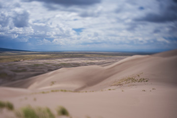 Fototapeta na wymiar Sand dunes landscape using a tilt-shift lens giving miniature effect