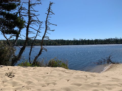 Winchester Bay Oregon 