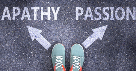 Apathy and passion as different choices in life - pictured as words Apathy, passion on a road to symbolize making decision and picking either Apathy or passion as an option, 3d illustration