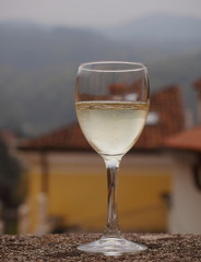 glass of white wine