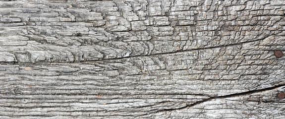 Cut of aged and weathered wood