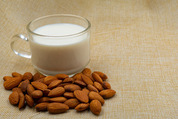 Picture of almond milk concept for copyspace