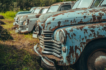 Old retro rusty abandoned cars in green grass.