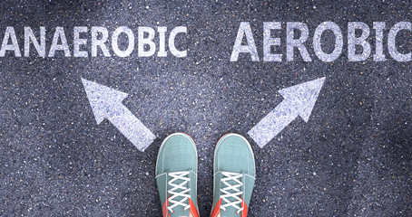 Anaerobic and aerobic as different choices in life - pictured as words Anaerobic, aerobic on a road to symbolize making decision and picking either Anaerobic or aerobic as an option, 3d illustration