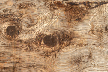 Naklejka premium Full-screen texture of a rough wooden slab with twigs and cracks