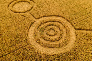 Fototapeta na wymiar UFO circles on grain crop yellow field, aerial view from drone.