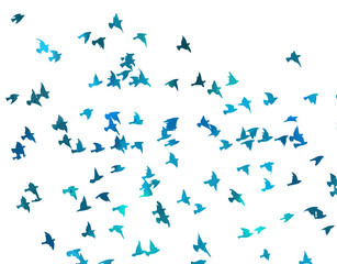 Bird watercolor. A flock of colorful birds. Mixed media. Vector illustration