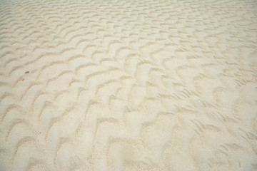 Sand texture for background