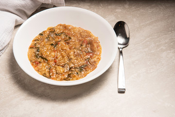 White bowl and spoon with onions, garlic, tomatoes, basil and bread prepared as Italian porridge