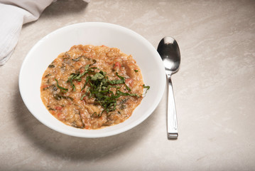 White bowl and spoon with onions, garlic, tomatoes, basil and bread prepared as Italian porridge