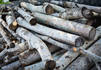 Cut timber firewood logs stacked up in a pile ready for usage.