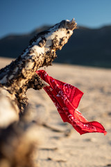Bandana on a tree in the dessert