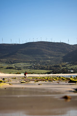 unrecognized man and his dog in the beach