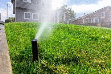 Irrigation system turned on in a residential backyard