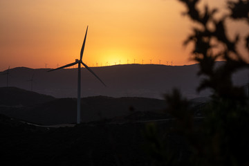 sunset with wind turbines
