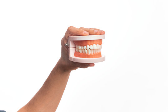 Hand of caucasian young man holding plastic denture teeth over isolated white background