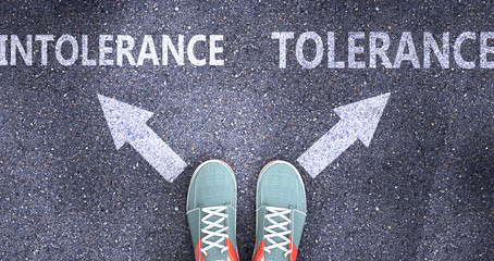 Intolerance and tolerance as different choices in life - pictured as words Intolerance, tolerance on a road to symbolize making decision and picking either one as an option, 3d illustration