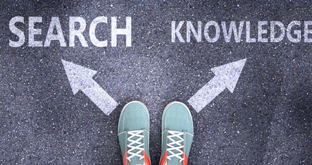 Search and knowledge as different choices in life - pictured as words Search, knowledge on a road to symbolize making decision and picking either Search or knowledge as an option, 3d illustration