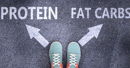 Protein and fat carbs as different choices in life - pictured as words Protein, fat carbs on a road to symbolize making decision and picking either Protein or fat carbs as an option, 3d illustration