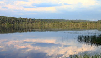 lake in the summer among the forest