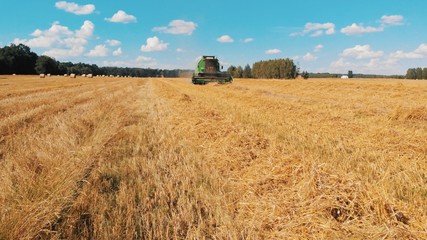 Fototapeta na wymiar Modern combine harvester working on the field. low angle wide shot. High quality photo