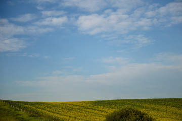 Farmland and highway scenes along the highways of Eastern Alberta Canada