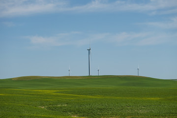 Fototapeta na wymiar Wind turbines along the highways of Eastern Alberta Canada