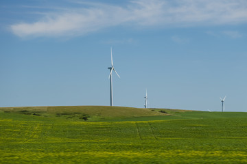 Fototapeta premium Wind turbines along the highways of Eastern Alberta Canada
